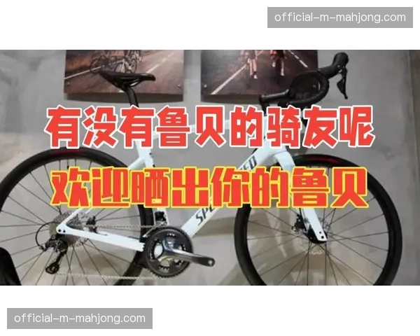 特写:布鲁塞尔市民自发组织“鲁贝之路”石板路体验骑行 特写:布鲁塞尔市民自发组织“鲁贝之路”石板路体验骑行